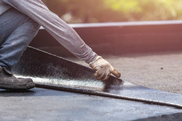 Professional Interior Drainage System technician working in Rockford, IL